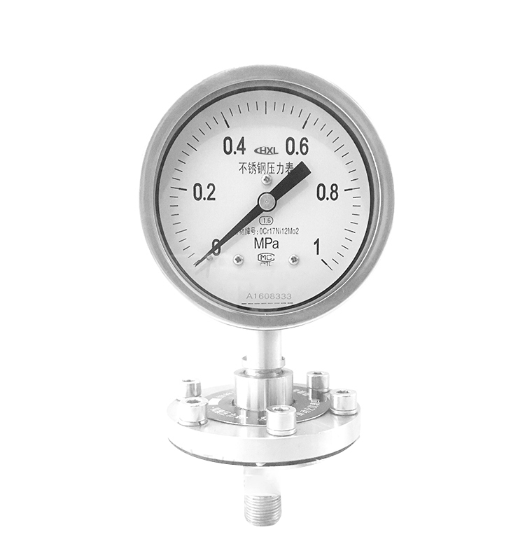 不鏽鋼(gāng)壓力表(biǎo)