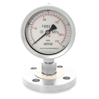 不鏽鋼(gang)隔膜壓(yā)力表