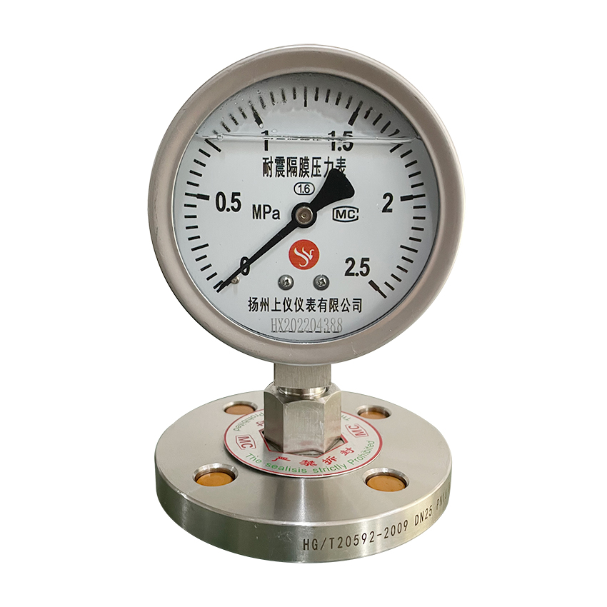 法蘭(lan)式隔膜壓力(lì)表-Y100MF